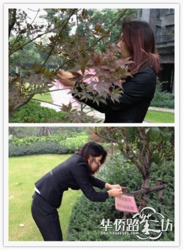 天正滨江物业服务中心 2013年工作简报【014