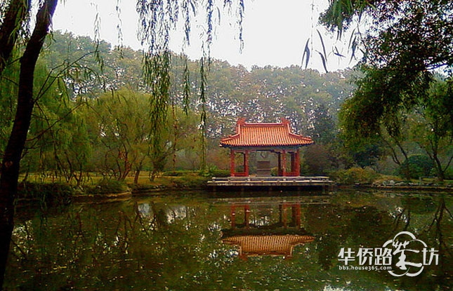 南京要升级为特别市了?传闻说南京将成为中国