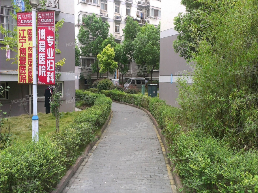 金竹花园