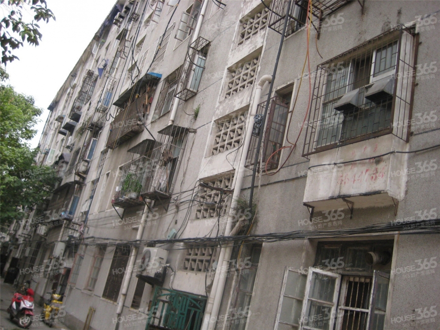 【合肥晶体管厂宿舍_财富广场片区晶体管厂宿