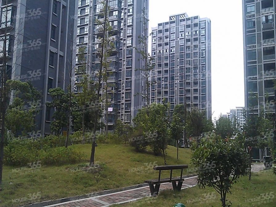 合肥二手房 合肥二手房出售 包河区小区 望湖城小区 望湖嘉苑 包河区