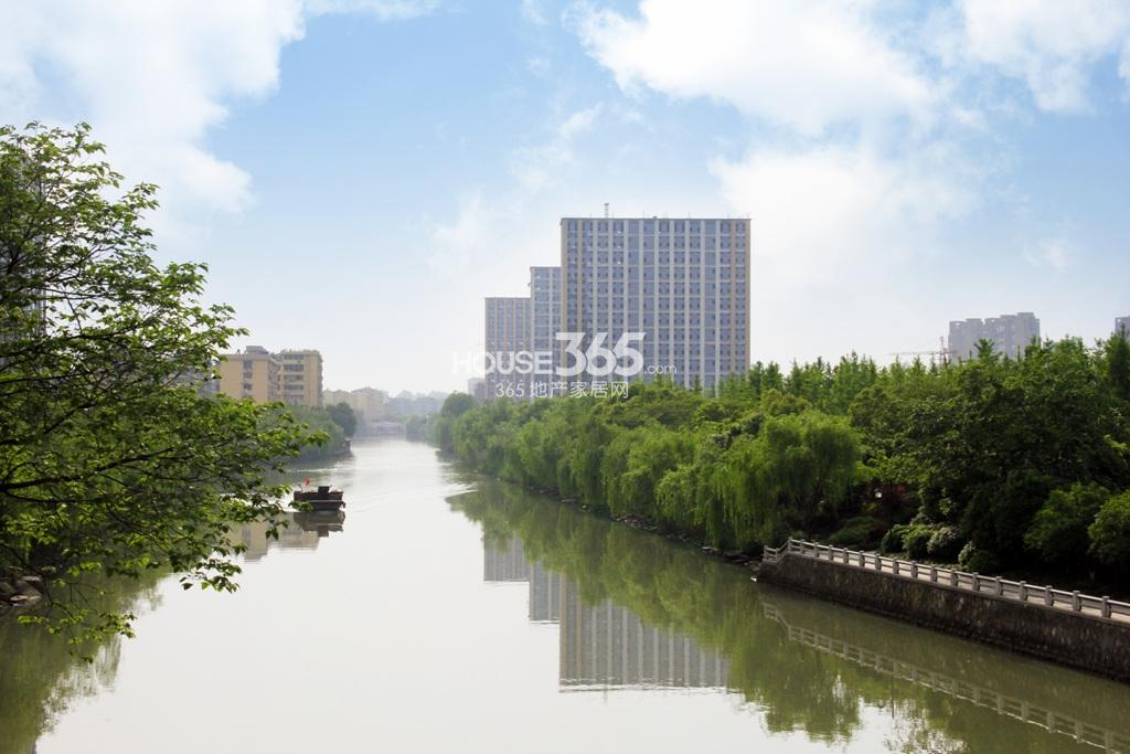 中天西城纪最新动态