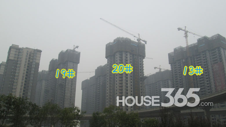 【芭蕉跑盘】10月中旬星雨华府项目工程进度