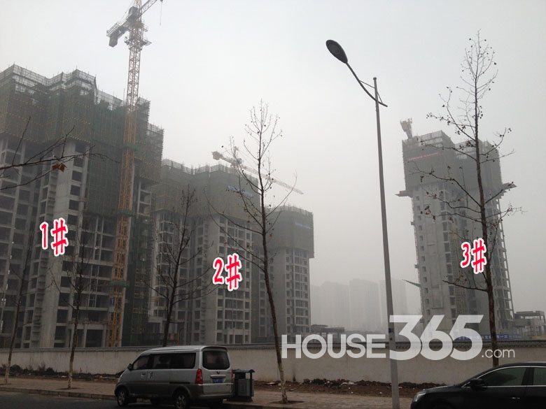 【芭蕉跑盘】紫薇东进项目2月工程进度播报 工