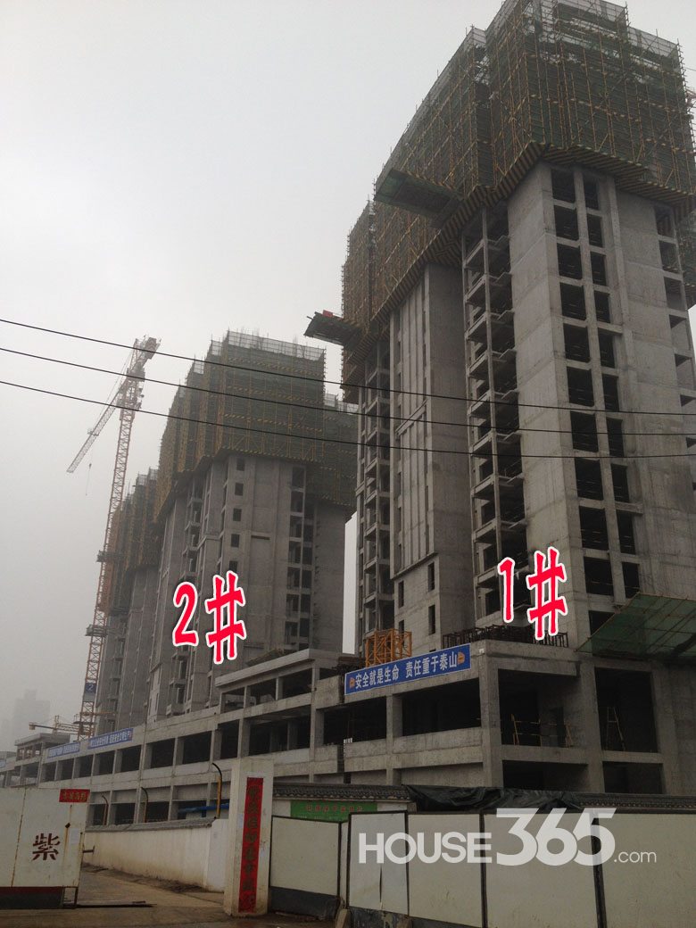 【芭蕉跑盘】紫薇东进项目2月工程进度播报 工