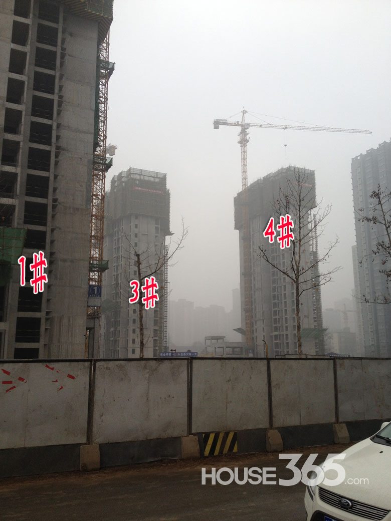 【芭蕉跑盘】紫薇东进项目2月工程进度播报 工